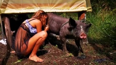 Лягушка и волшебный амулет