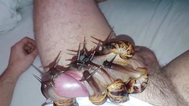 Удивительное путешествие верблюда