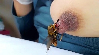 Секреты волшебного леса