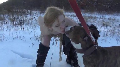 Песчаные дюны: Загадка пустыни