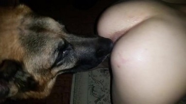 Спрятанное сокровище зайца