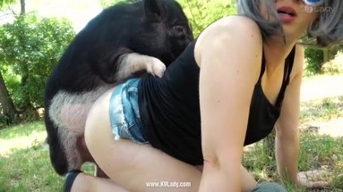 Смешные шалости с котами