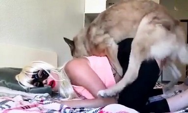 Приключения в лесу: тайна пропавшего друга