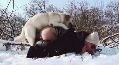 Листья шепчут о тайнах